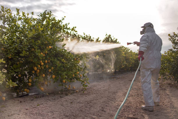 Best Best Pest Control Companies  in Sisco Heights, WA