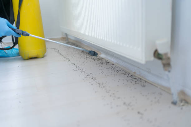 Best Pest Control Treatment  in Sisco Heights, WA
